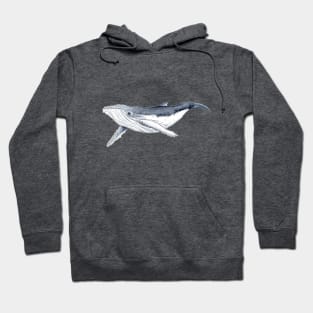 Humpback whale baby Hoodie